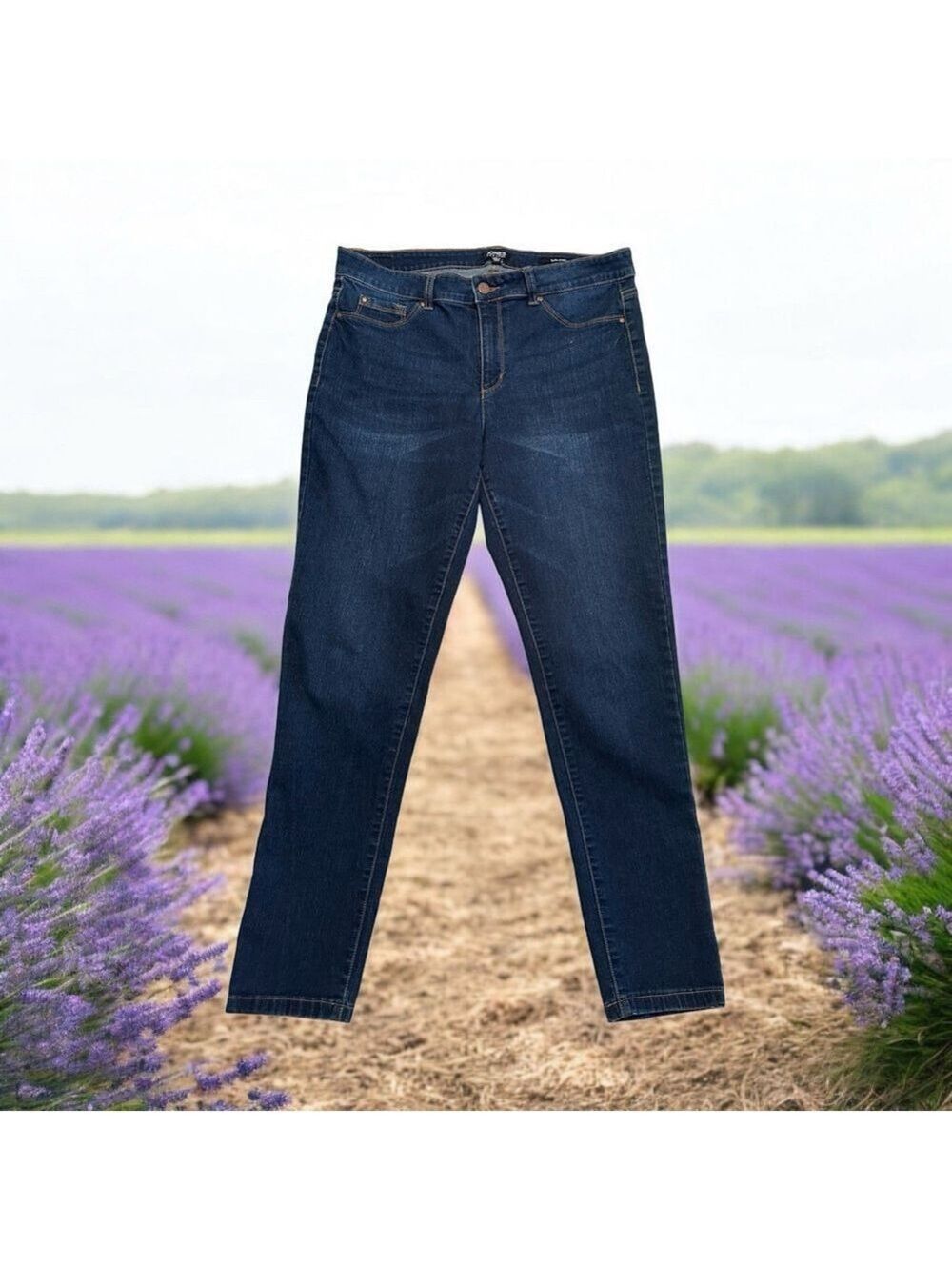 Jones New York Jeans Essex Skinny Womens 14 Mid-Rise Inseam 29 Blue Distressed